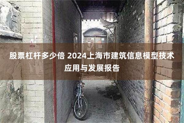 股票杠杆多少倍 2024上海市建筑信息模型技术应用与发展报告
