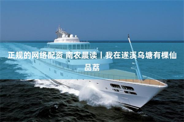 正规的网络配资 南农晨读丨我在遂溪乌塘有棵仙品荔
