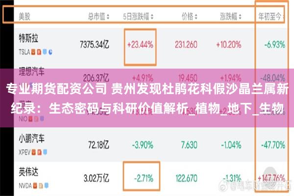 专业期货配资公司 贵州发现杜鹃花科假沙晶兰属新纪录：生态密码与科研价值解析_植物_地下_生物