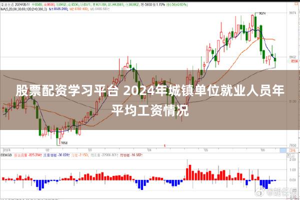 股票配资学习平台 2024年城镇单位就业人员年平均工资情况