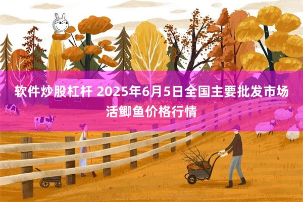 软件炒股杠杆 2025年6月5日全国主要批发市场活鲫鱼价格行情