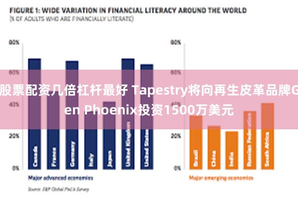 股票配资几倍杠杆最好 Tapestry将向再生皮革品牌Gen Phoenix投资1500万美元