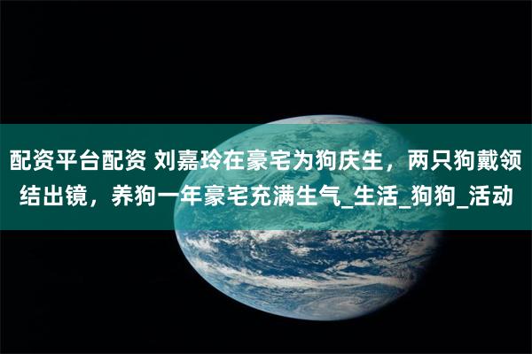 配资平台配资 刘嘉玲在豪宅为狗庆生，两只狗戴领结出镜，养狗一年豪宅充满生气_生活_狗狗_活动
