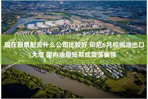 现在股票配资什么公司比较好 印尼6月棕榈油出口大增 国内油脂短期或震荡偏强