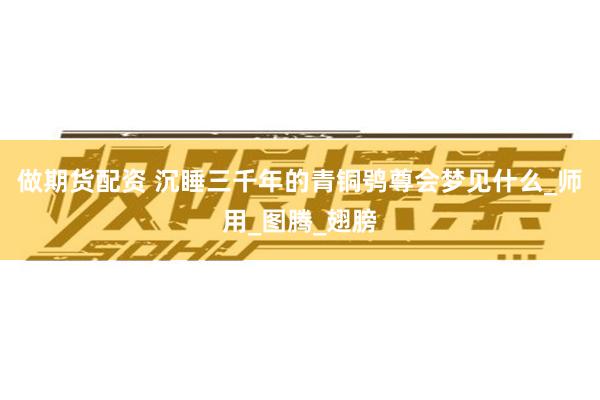 做期货配资 沉睡三千年的青铜鸮尊会梦见什么_师用_图腾_翅膀