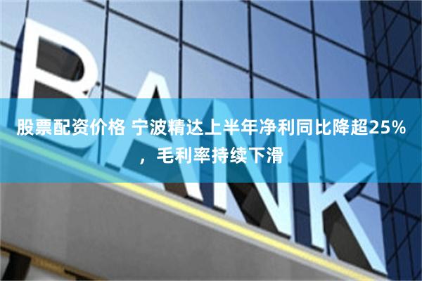股票配资价格 宁波精达上半年净利同比降超25%，毛利率持续下滑