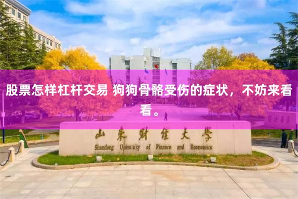 股票怎样杠杆交易 狗狗骨骼受伤的症状，不妨来看看。