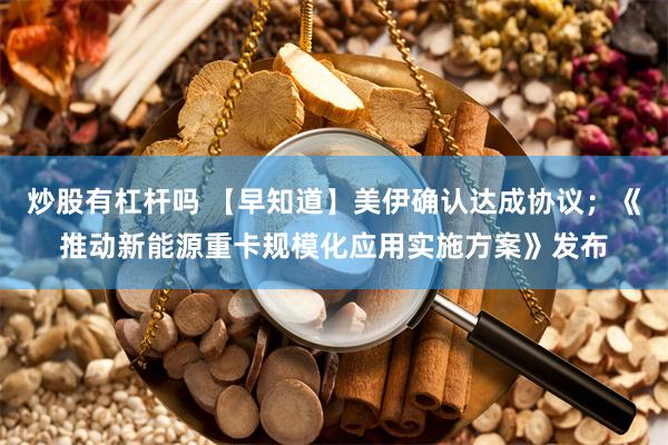 炒股有杠杆吗 【早知道】美伊确认达成协议；《推动新能源重卡规模化应用实施方案》发布
