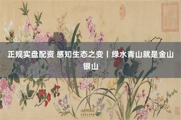 正规实盘配资 感知生态之变丨绿水青山就是金山银山