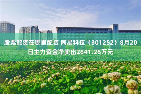 股票配资在哪里配资 同星科技（301252）8月20日主力资金净卖出2641.26万元