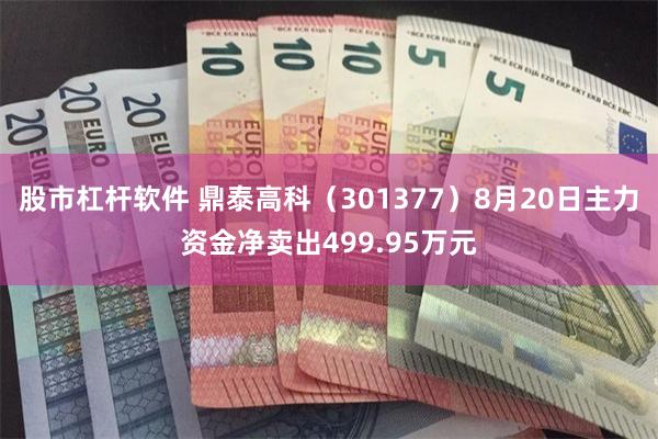 股市杠杆软件 鼎泰高科（301377）8月20日主力资金净卖出499.95万元