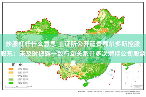 炒股杠杆什么意思 上证所公开谴责鄂尔多斯控股股东：未及时披露一致行动关系并多次增持公司股票