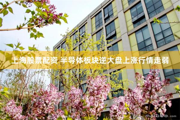 上海股票配资 半导体板块逆大盘上涨行情走弱
