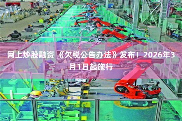 网上炒股融资 《欠税公告办法》发布！2026年3月1日起施行