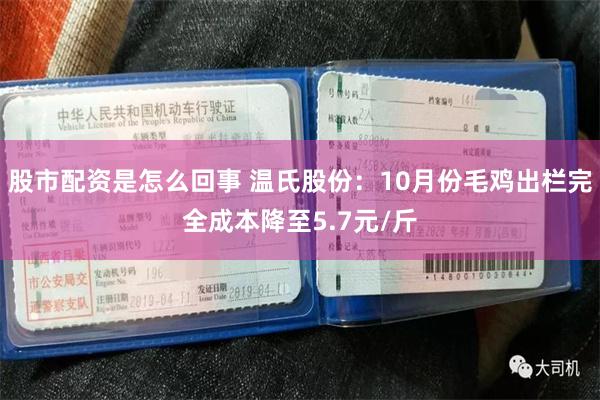 股市配资是怎么回事 温氏股份：10月份毛鸡出栏完全成本降至5.7元/斤