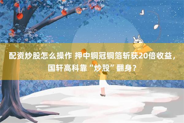 配资炒股怎么操作 押中铜冠铜箔斩获20倍收益，国轩高科靠“炒股”翻身？