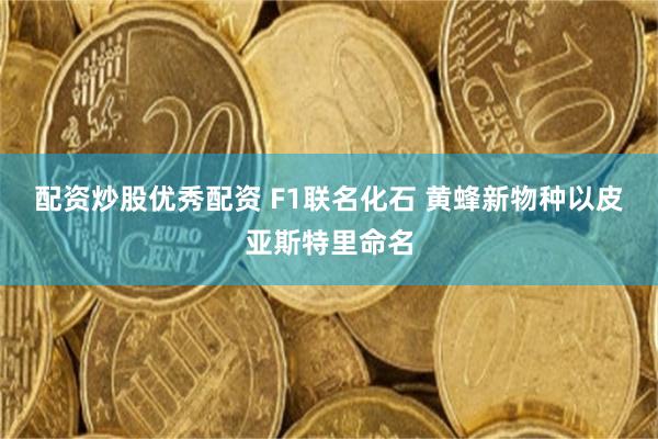 配资炒股优秀配资 F1联名化石 黄蜂新物种以皮亚斯特里命名