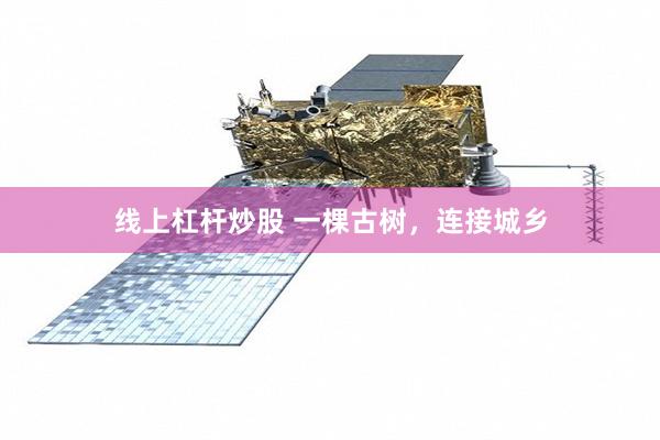 线上杠杆炒股 一棵古树，连接城乡