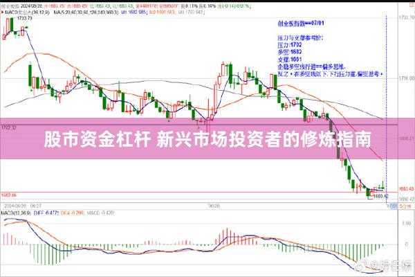 股市资金杠杆 新兴市场投资者的修炼指南