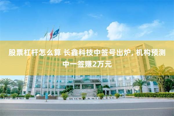 股票杠杆怎么算 长鑫科技中签号出炉, 机构预测中一签赚2万元