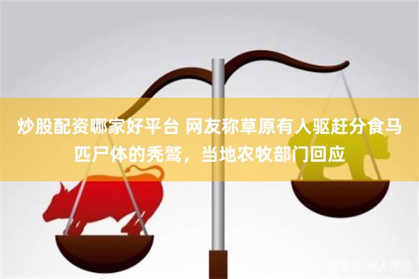 炒股配资哪家好平台 网友称草原有人驱赶分食马匹尸体的秃鹫，当地农牧部门回应