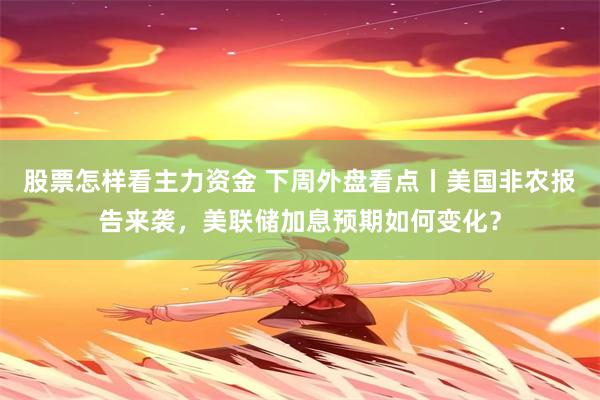 股票怎样看主力资金 下周外盘看点丨美国非农报告来袭,美联储加息预期如何变化?