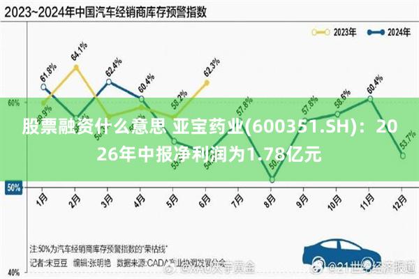 股票融资什么意思 亚宝药业(600351.SH)：2026年中报净利润为1.78亿元
