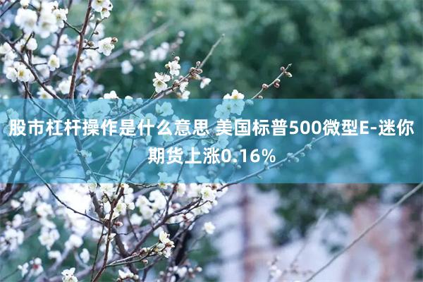 股市杠杆操作是什么意思 美国标普500微型E-迷你期货上涨0.16%