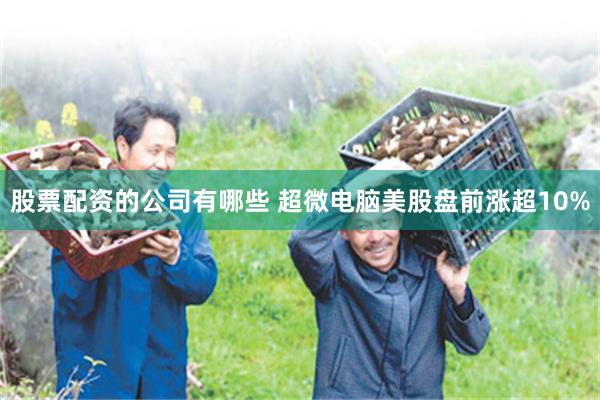 股票配资的公司有哪些 超微电脑美股盘前涨超10%