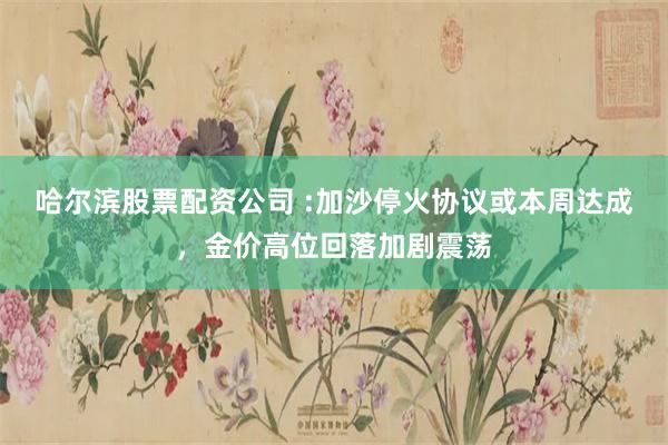 哈尔滨股票配资公司 :加沙停火协议或本周达成,金价高位回落加剧震荡