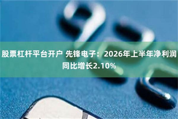 股票杠杆平台开户 先锋电子：2026年上半年净利润同比增长2.10%