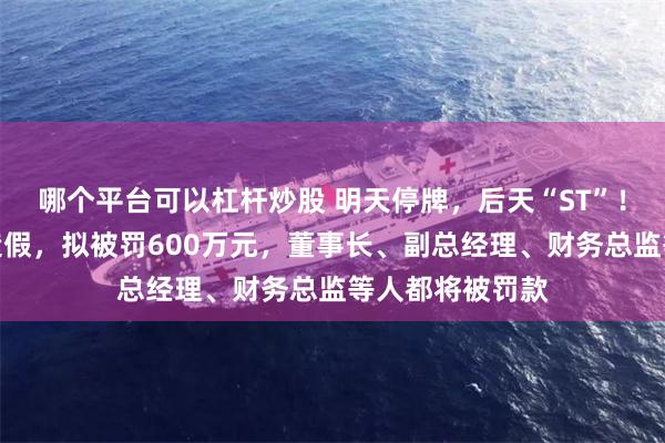 哪个平台可以杠杆炒股 明天停牌，后天“ST”！佳缘科技财务造假，拟被罚600万元，董事长、副总经理、财务总监等人都将被罚款
