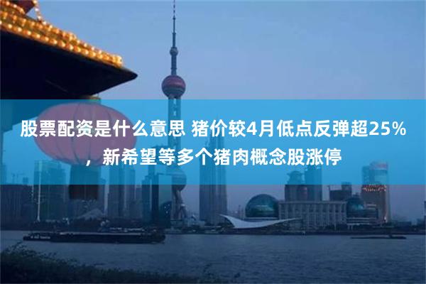 股票配资是什么意思 猪价较4月低点反弹超25%,新希望等多个猪肉概念股涨停