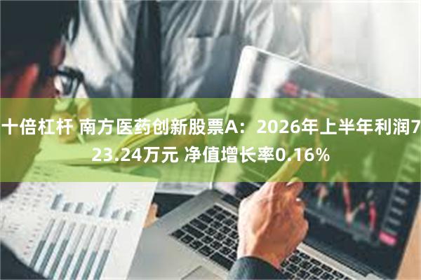 十倍杠杆 南方医药创新股票A：2026年上半年利润723.24万元 净值增长率0.16%