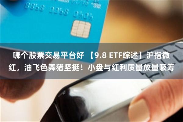 哪个股票交易平台好 【9.8 ETF综述】沪指微红，油飞色舞猪坚挺！小盘与红利质量放量吸筹