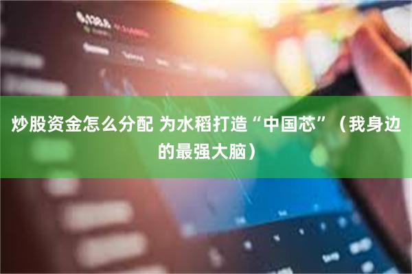 炒股资金怎么分配 为水稻打造“中国芯”（我身边的最强大脑）