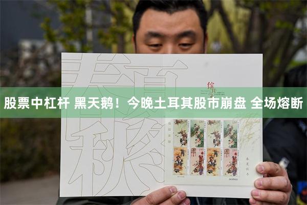 股票中杠杆 黑天鹅！今晚土耳其股市崩盘 全场熔断