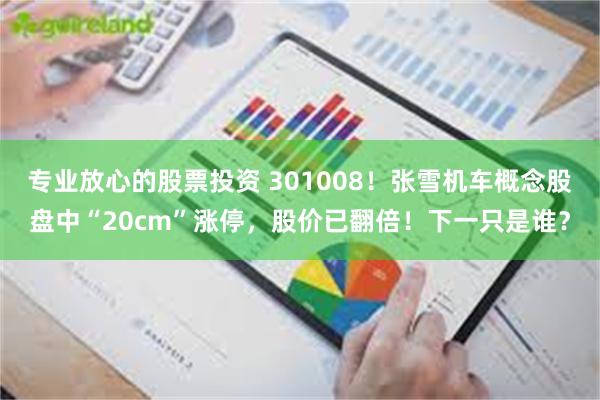 专业放心的股票投资 301008！张雪机车概念股盘中“20cm”涨停，股价已翻倍！下一只是谁？