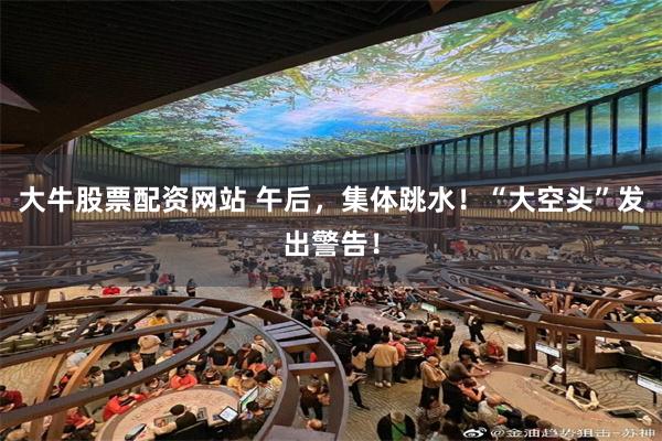 大牛股票配资网站 午后，集体跳水！“大空头”发出警告！