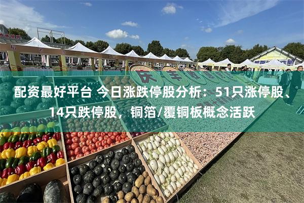 配资最好平台 今日涨跌停股分析：51只涨停股、14只跌停股，铜箔/覆铜板概念活跃