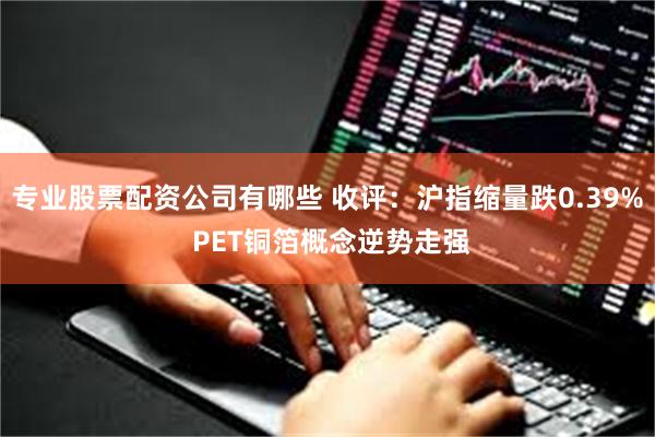 专业股票配资公司有哪些 收评：沪指缩量跌0.39% PET铜箔概念逆势走强