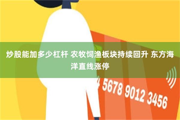 炒股能加多少杠杆 农牧饲渔板块持续回升 东方海洋直线涨停