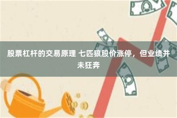 股票杠杆的交易原理 七匹狼股价涨停,但业绩并未狂奔