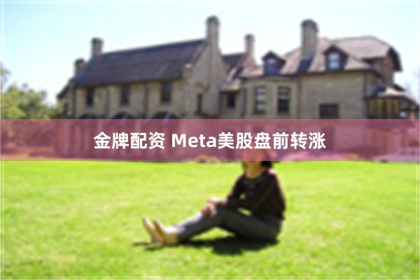 金牌配资 Meta美股盘前转涨