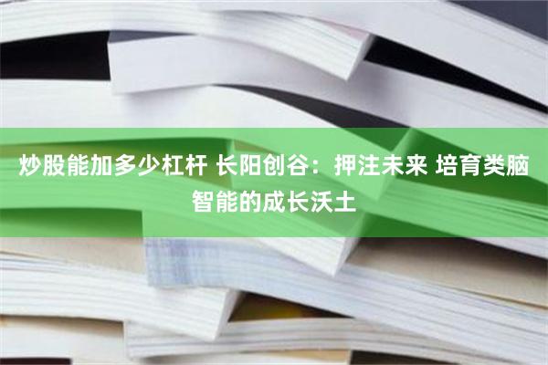 炒股能加多少杠杆 长阳创谷：押注未来 培育类脑智能的成长沃土